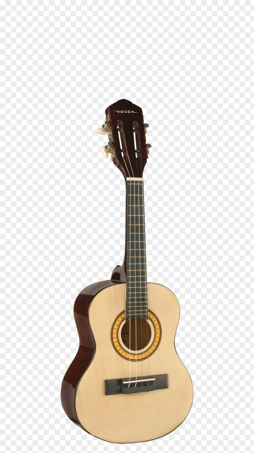 Guitar Classical Cutaway Acoustic Guitarist PNG