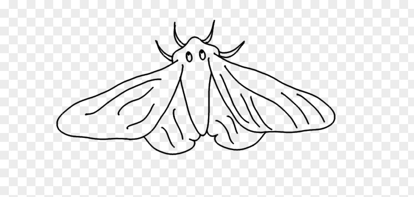 Moth Drawing Line Art Clip PNG