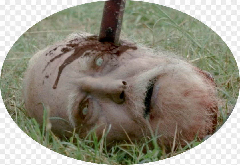 Season 4Dream Scene Hershel Greene The Walking Dead: Final Governor Michonne Dead PNG