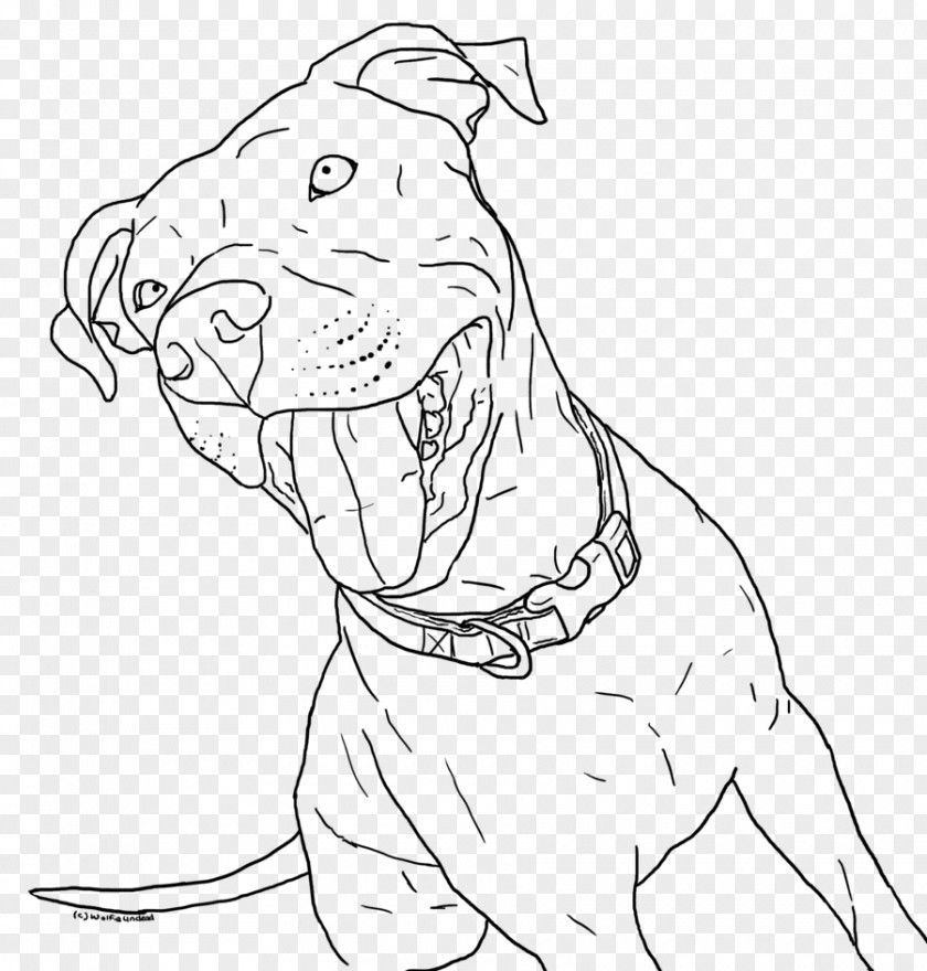 Sky Blue Flyer Template American Pit Bull Terrier Bully Coloring Book Puppy PNG
