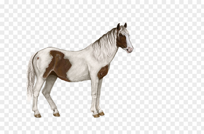 White Spotted Horse Standing Pixel PNG