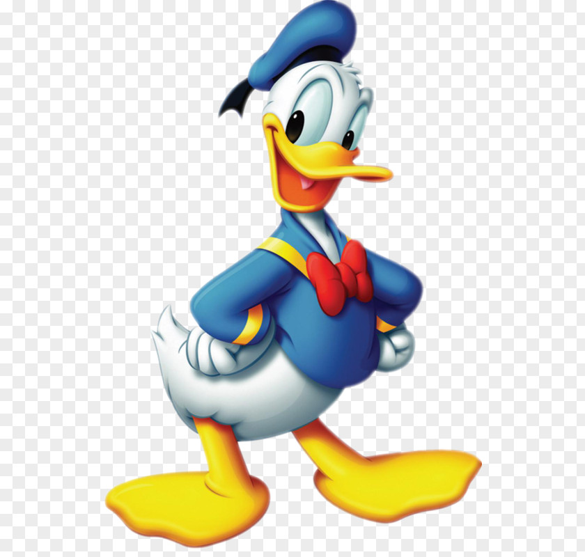 Animated Duck Donald Mickey Mouse Minnie Daisy Goofy PNG