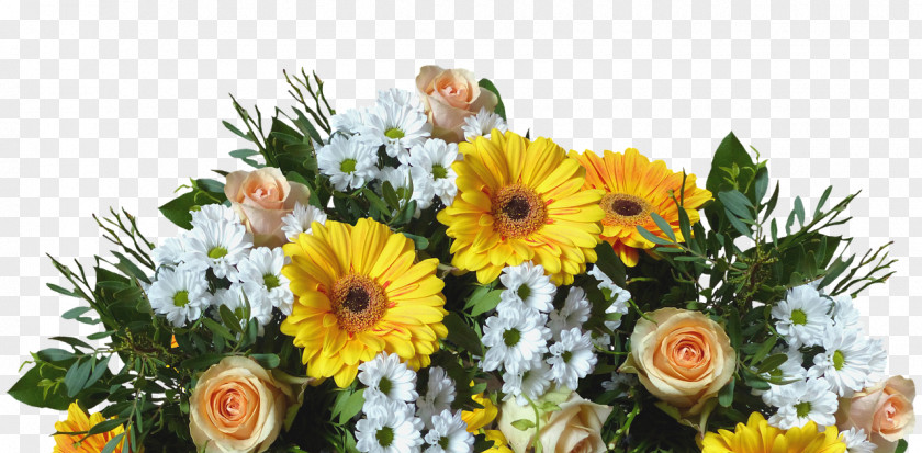 Bouquet Flower Cut Flowers Transvaal Daisy PNG