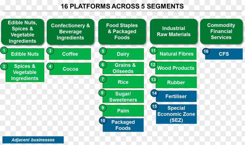 Business Olam International Organizational Chart Cocoa B.V. PNG