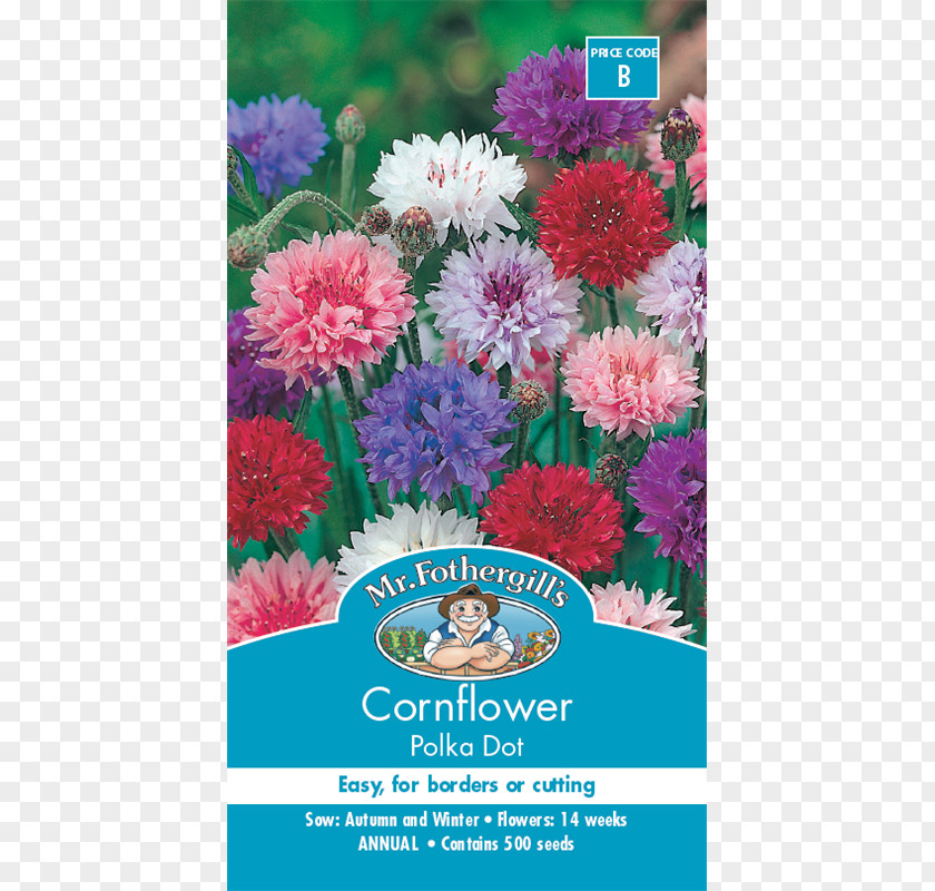 Flower Cornflower Blue Seed White PNG