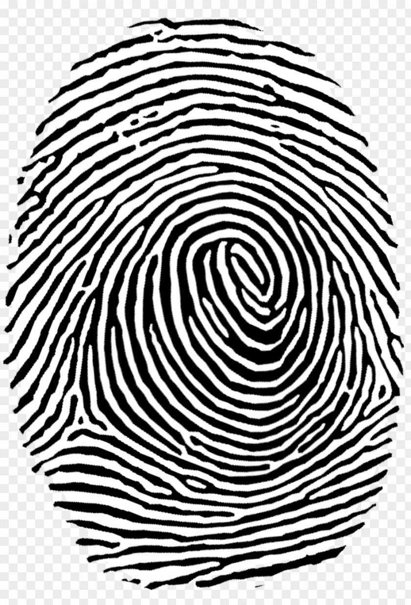 Fingerprint Authentication Clip Art PNG
