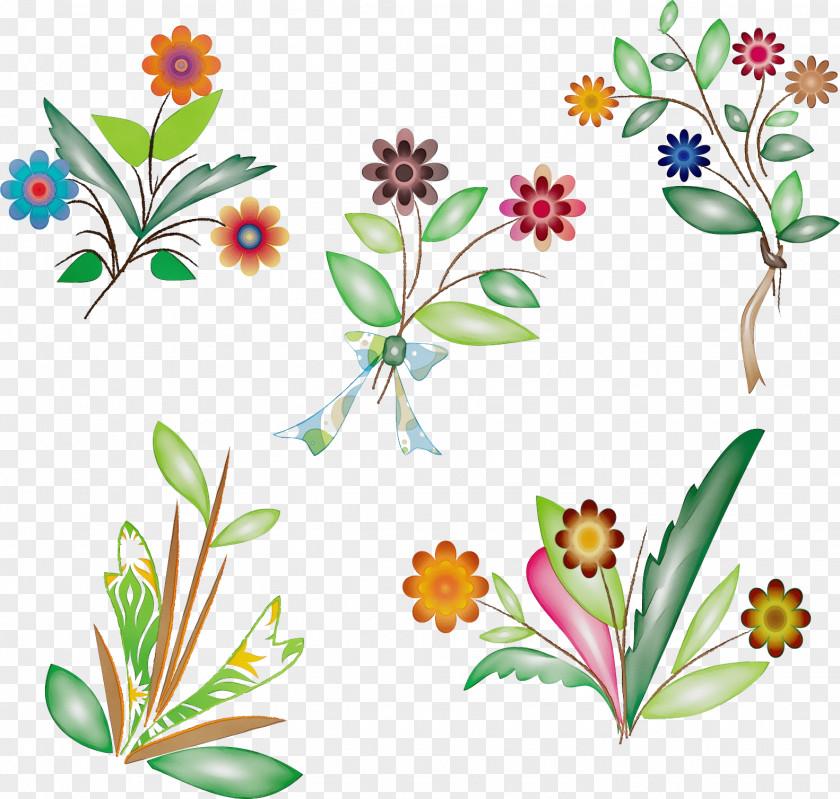 Flower Plant Wildflower Herbaceous Herbal PNG