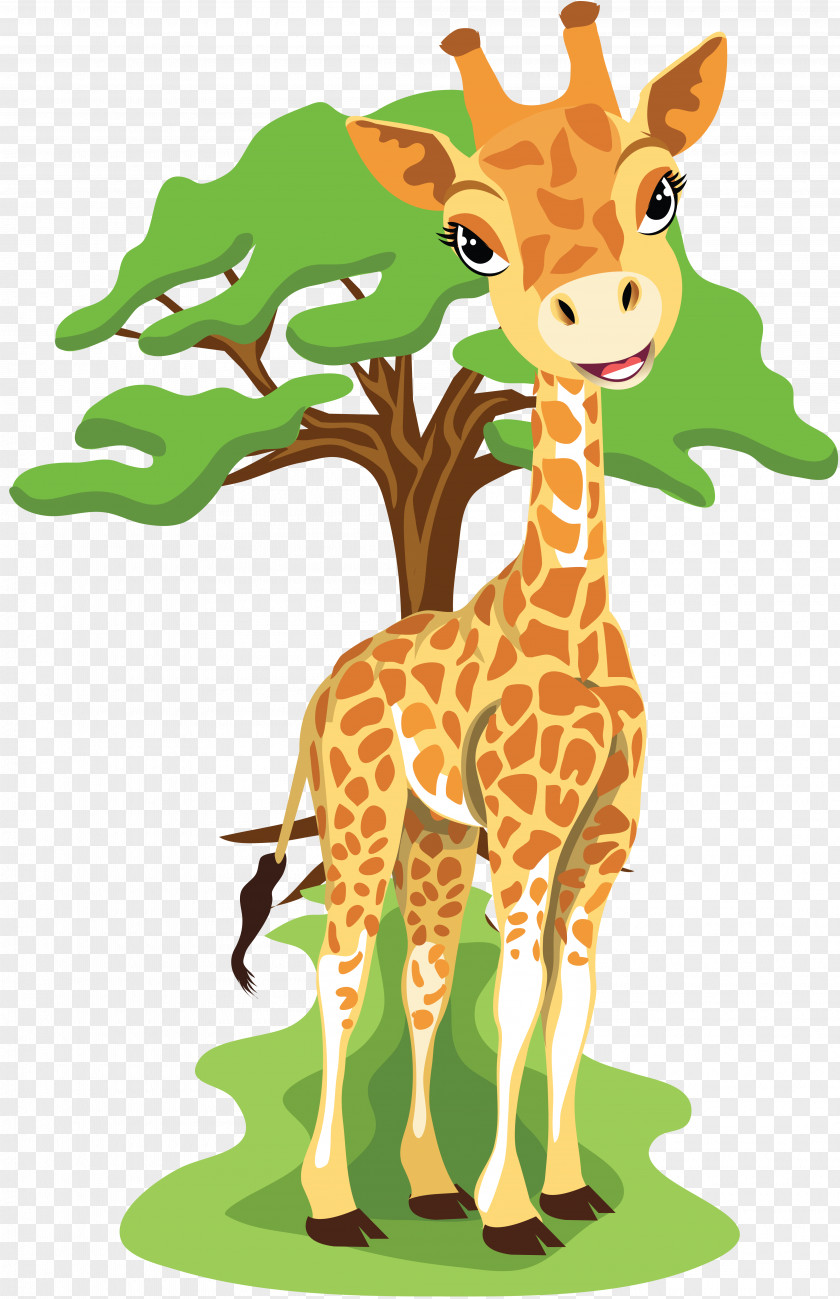 Giraffe Baby Giraffes Clip Art PNG