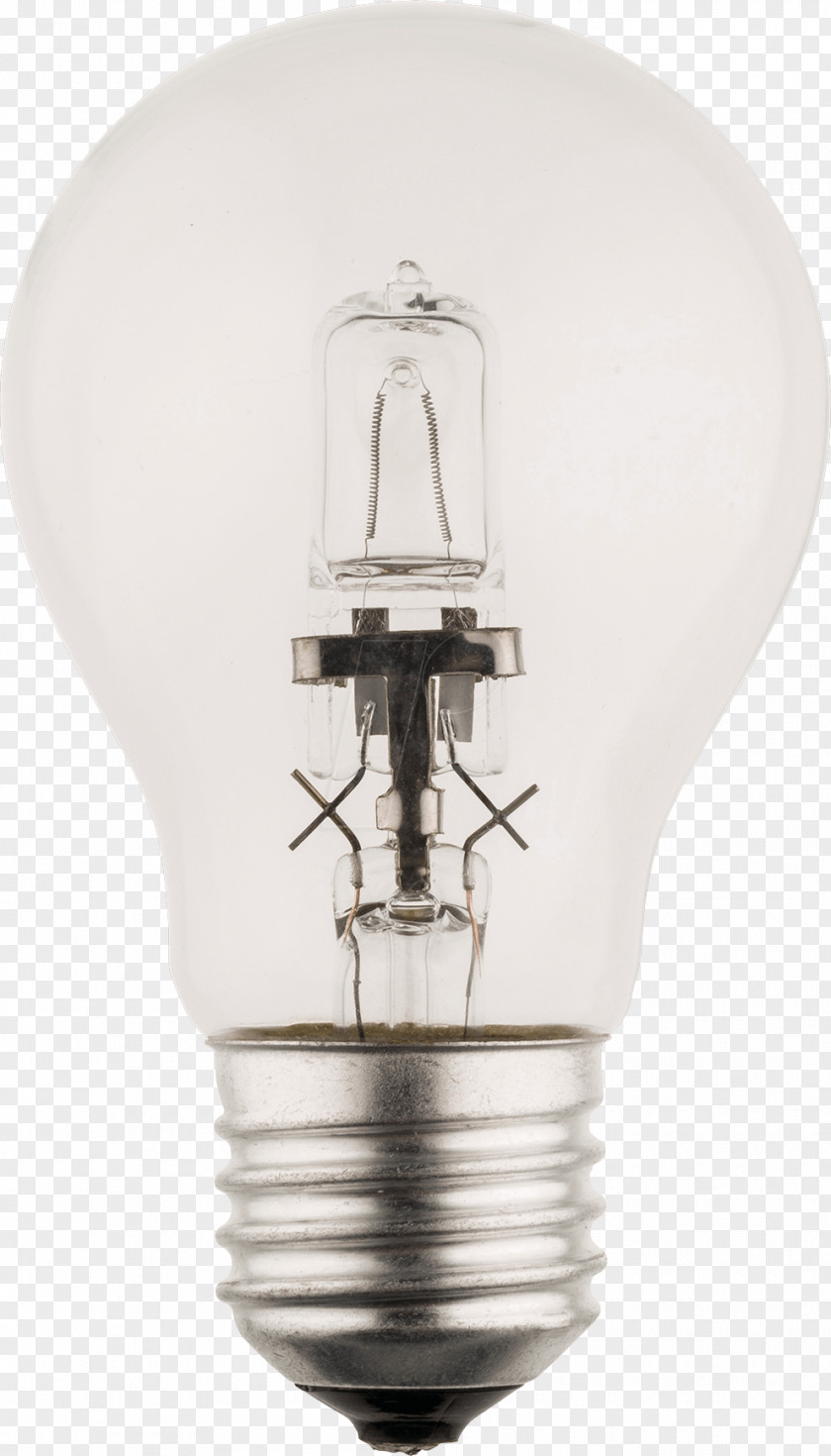 Light Incandescent Bulb Halogen Lamp Edison Screw PNG