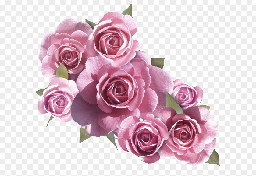 Rosa Flower Bouquet Rose Pink PNG