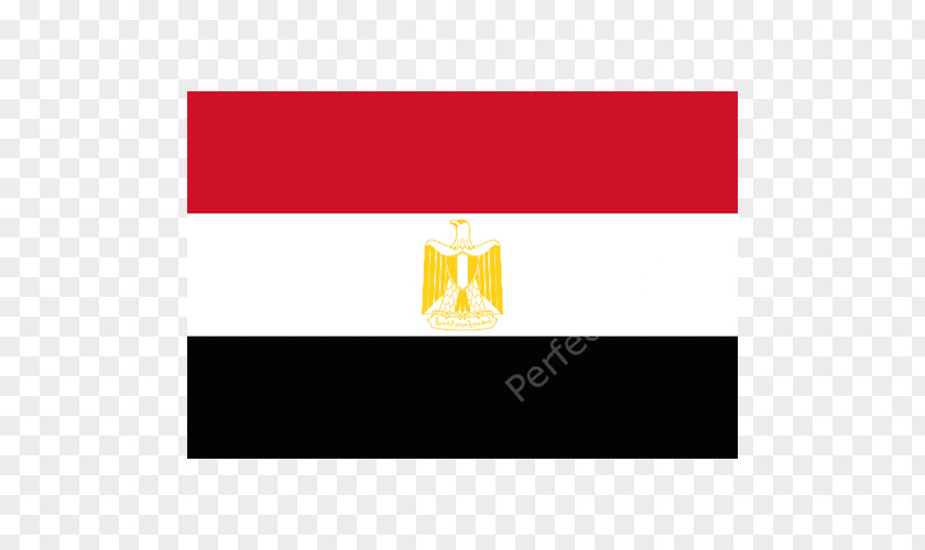 Saladin Eagle 2018 FIFA World Cup Egypt National Football Team Flag Of Qualification PNG