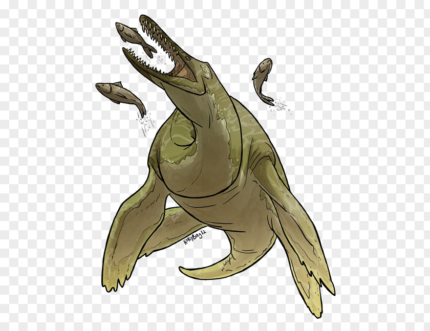 Turtle Tyrannosaurus Amphibian Marine Mammal PNG