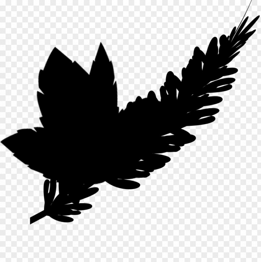 Beak Bird Of Prey Feather Font PNG