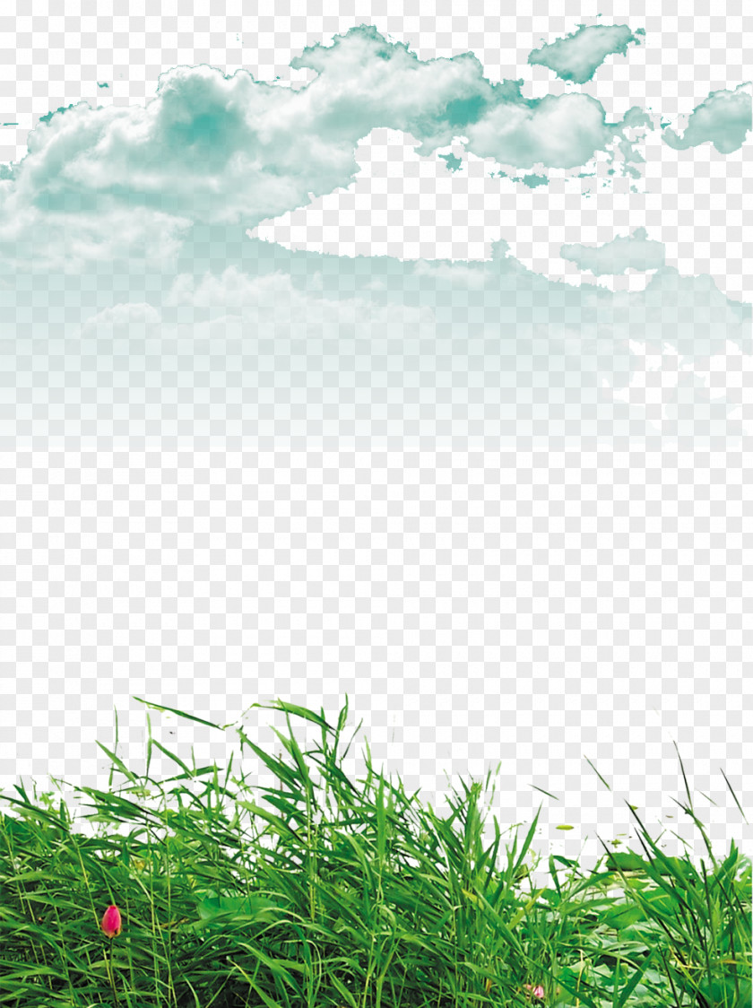 Blue Sky And White Clouds Lawn Clip Art PNG