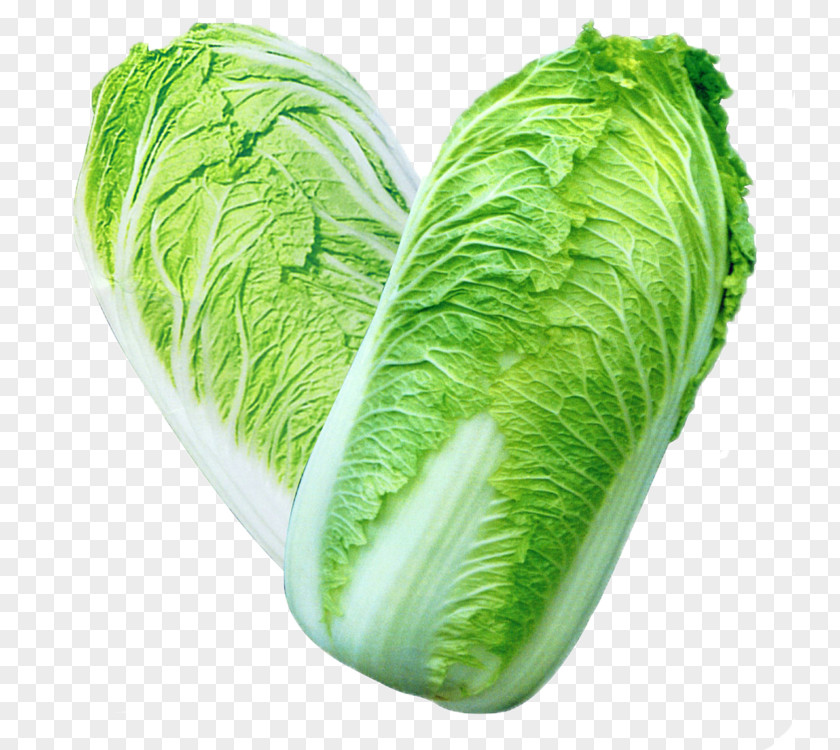 Cabbage Chinese Vegetable Red Seed PNG