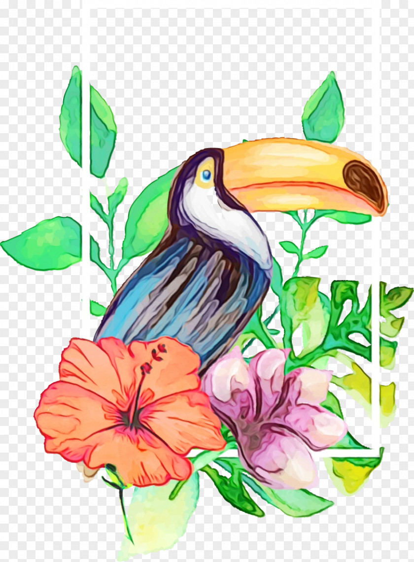 Flower Coraciiformes Watercolor Floral Background PNG