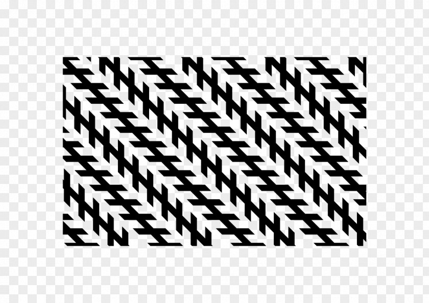 Illusions Optical Illusion Optics Visual Perception Checker Shadow PNG