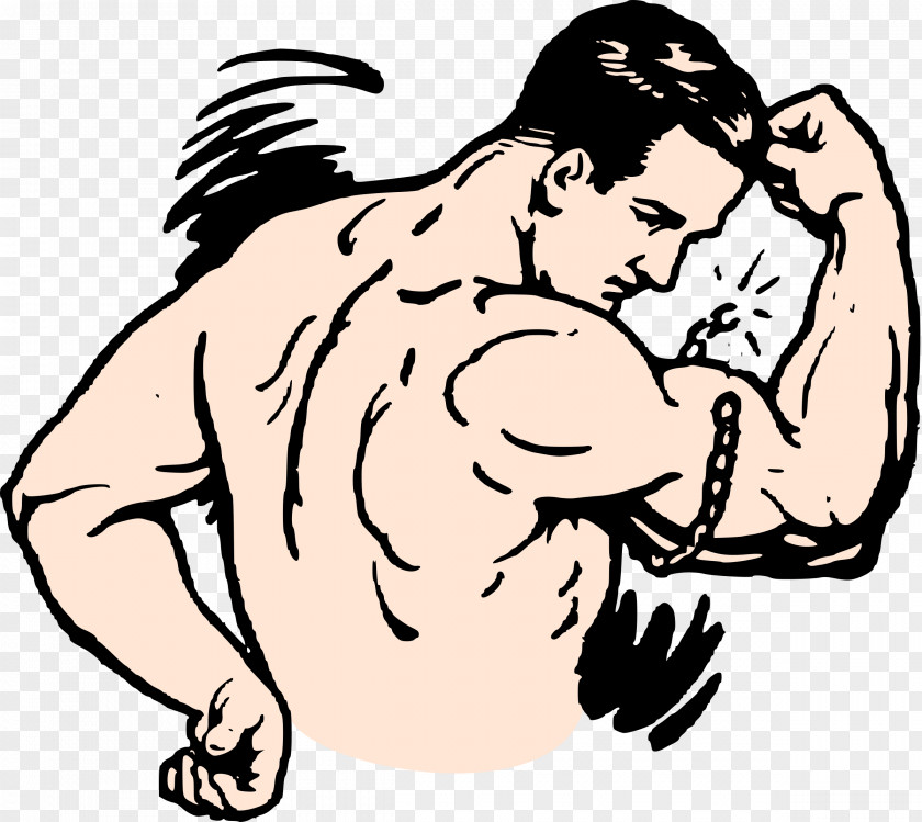 Muscles Strongman Bodybuilding Clip Art PNG