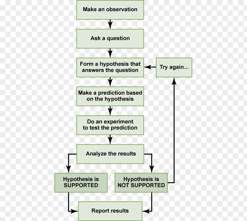 Step Flow Chart Scientific Method Research Science Hypothesis Theory PNG