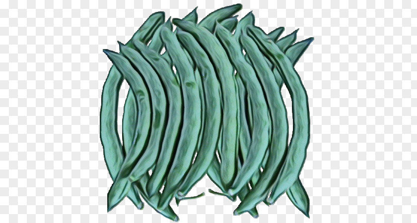 Vegetable Green Beans PNG