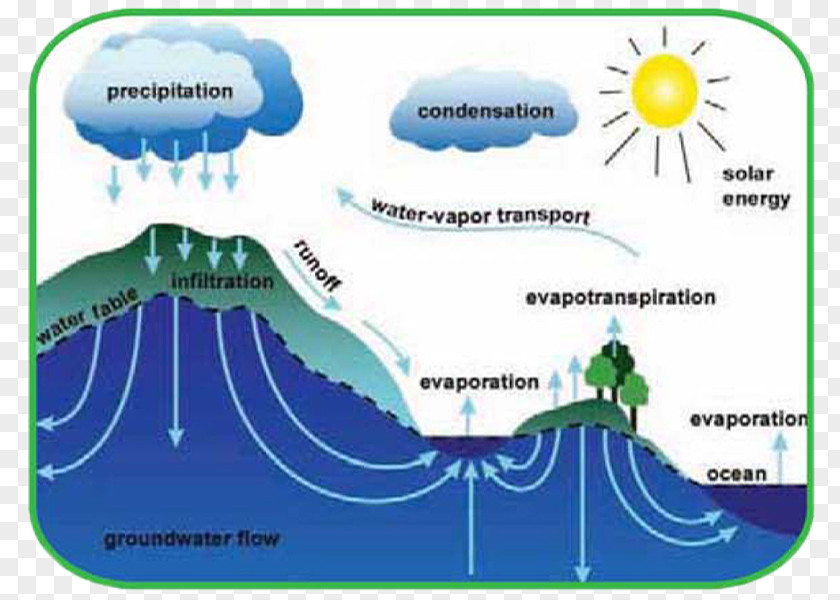 Water Cycle Worksheet Ocean Nitrogen PNG