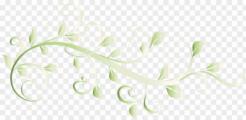 Design Elements Cut Flowers Floral Floristry Petal PNG