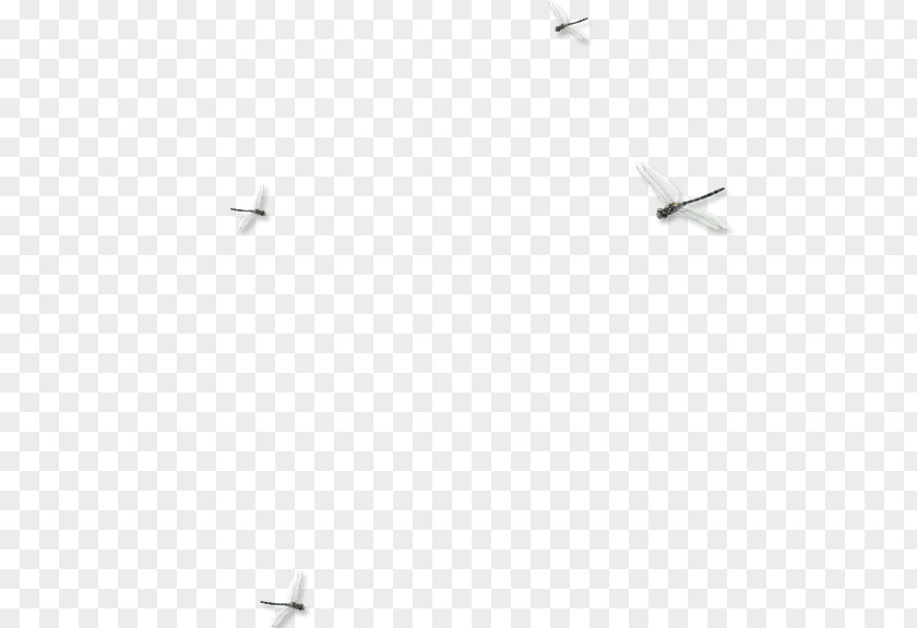 Dragonfly White Floor Angle Pattern PNG
