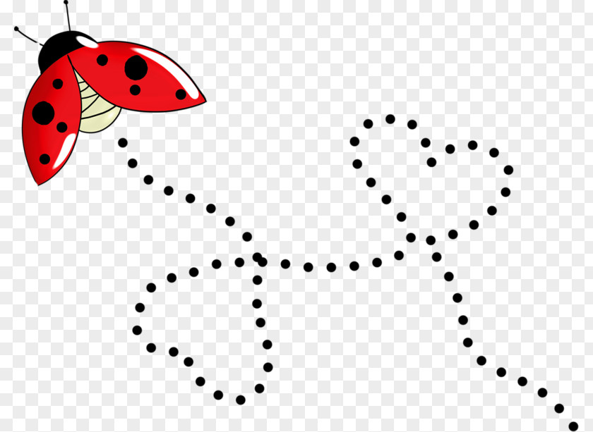 Insect Ladybird Beetle Clip Art Image PNG