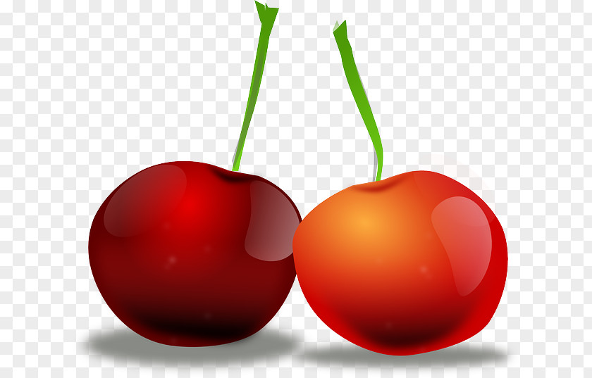 Red Plums Cherry Pie Fruit Clip Art PNG