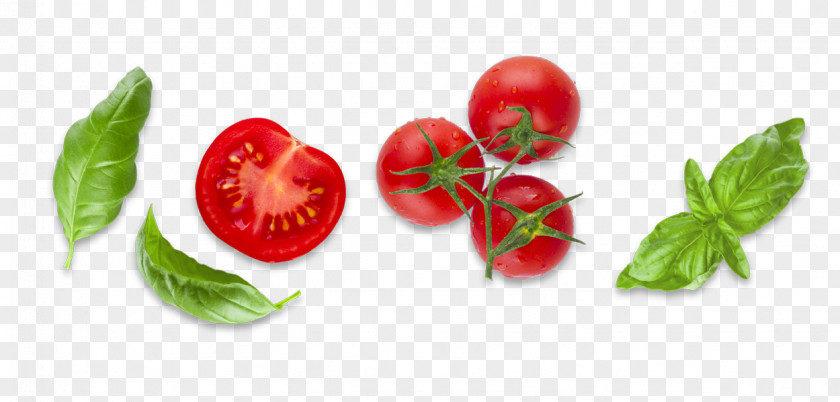 Tomato Bush Diet Food Basil PNG