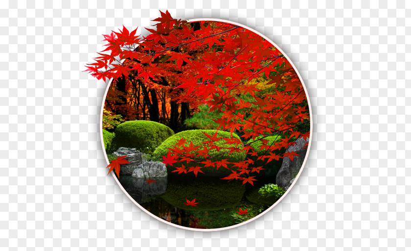 Android Japanese Rock Garden The PNG