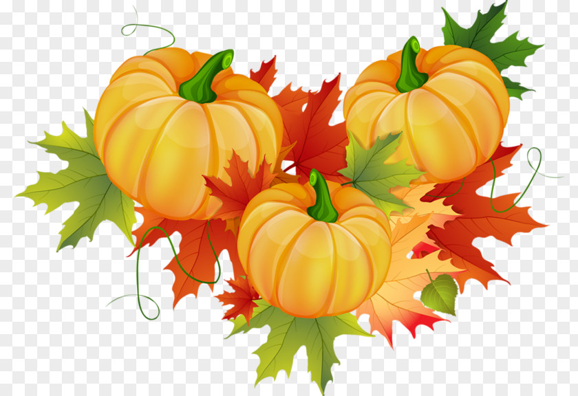 Autumn Pumpkin Clip Art PNG
