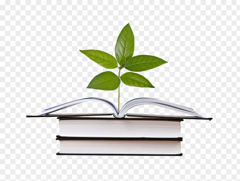 Books And Leaves Book Stock Photography Hardcover Royalty-free Publishing PNG