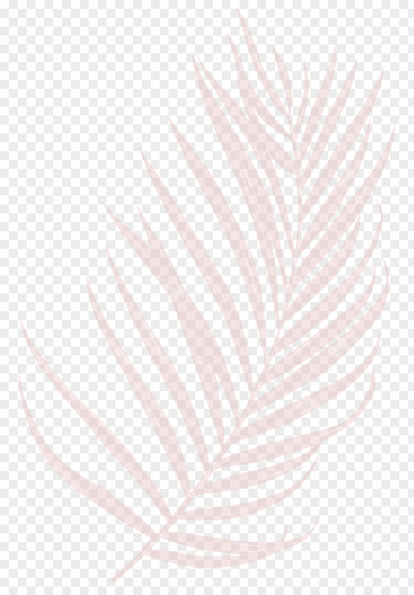 Feather Leaf Arecaceae Mat Petal PNG