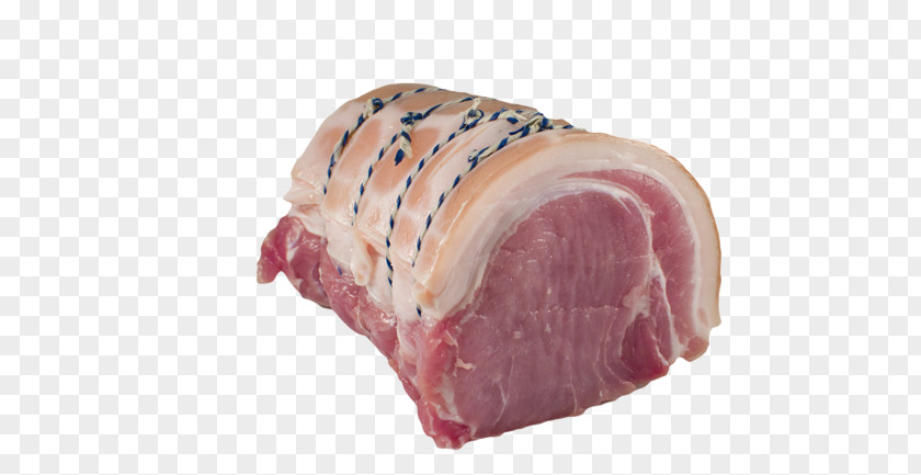 Ham Sausage Back Bacon Prosciutto Capocollo PNG