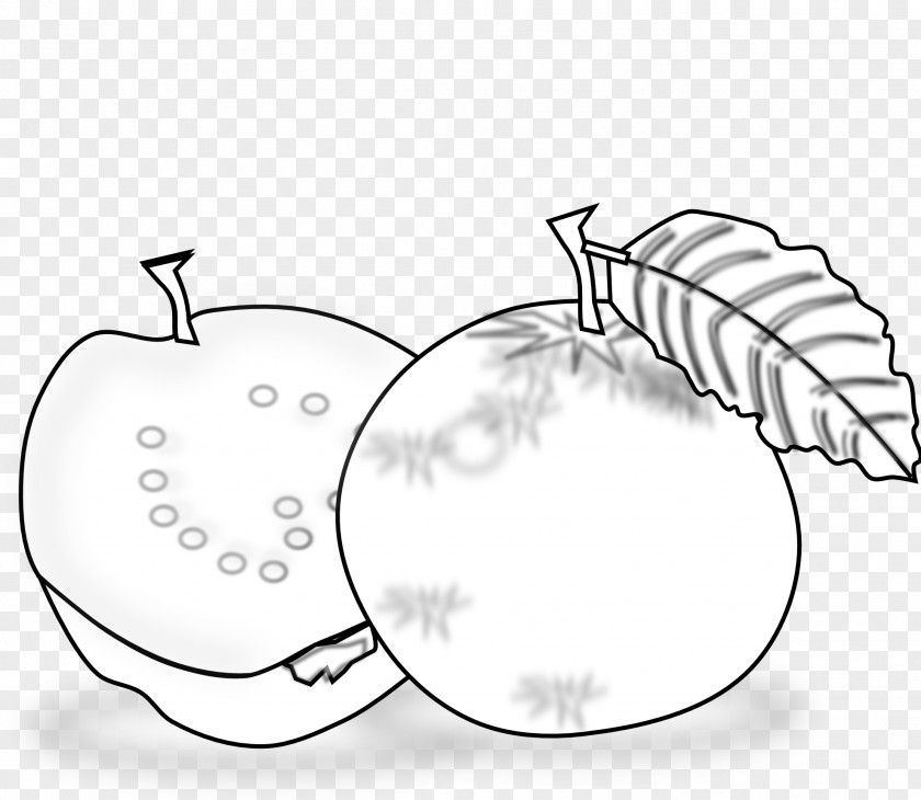 Inkscape Images Black And White Guava Drawing Clip Art PNG