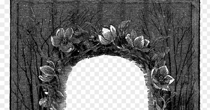 Painting Black And White Picture Frames Photographic Film Stock Photography PNG