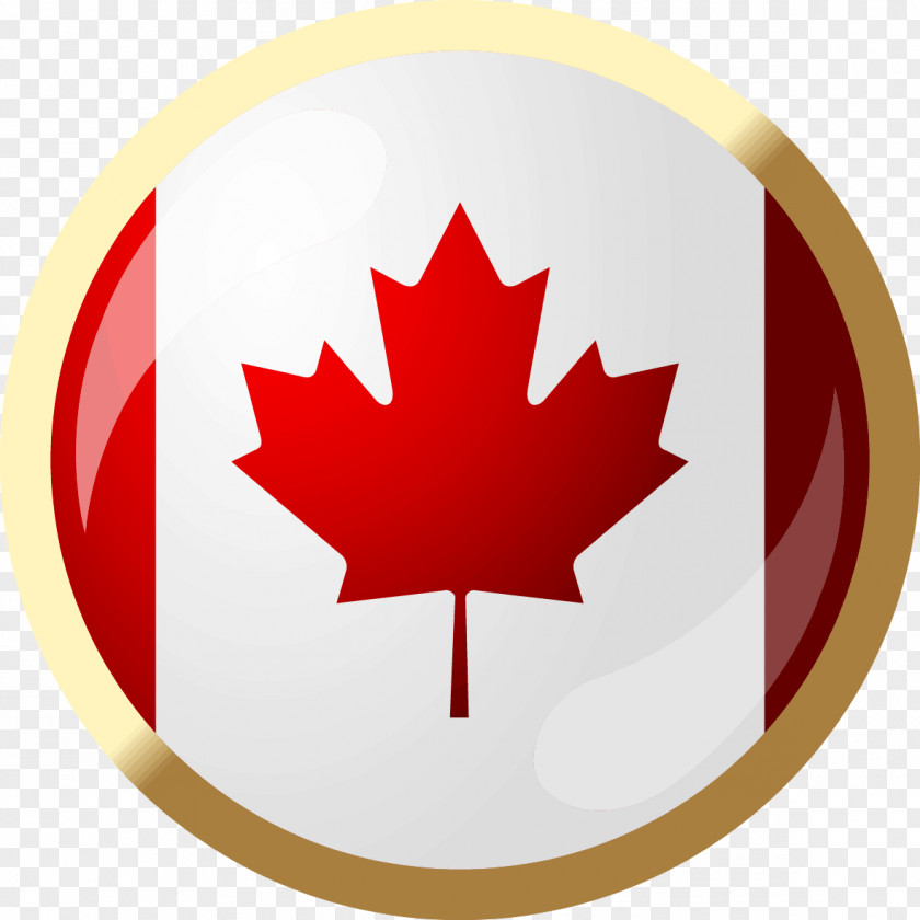 A Canada United States Business Service Funding PNG