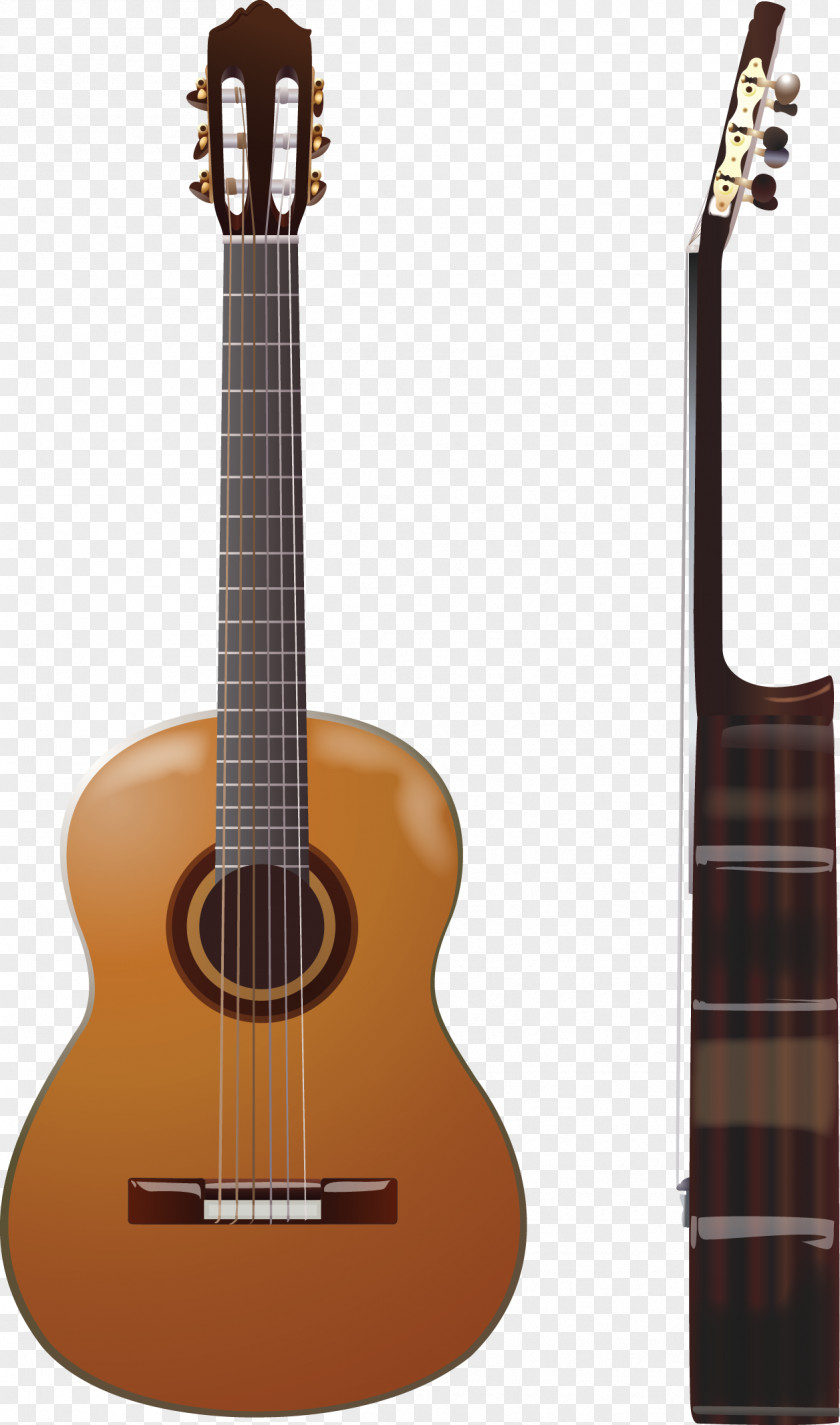 Acoustic Guitar Classical Steel-string Ibanez PNG