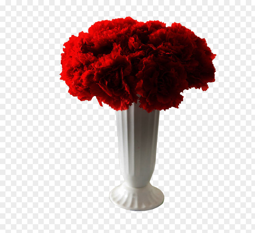 Get Carnation Vase Cut Flowers RED.M PNG