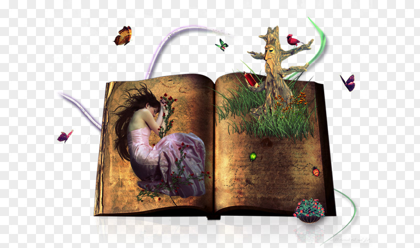 Nostalgic Sleeping Beauty Used Book PNG