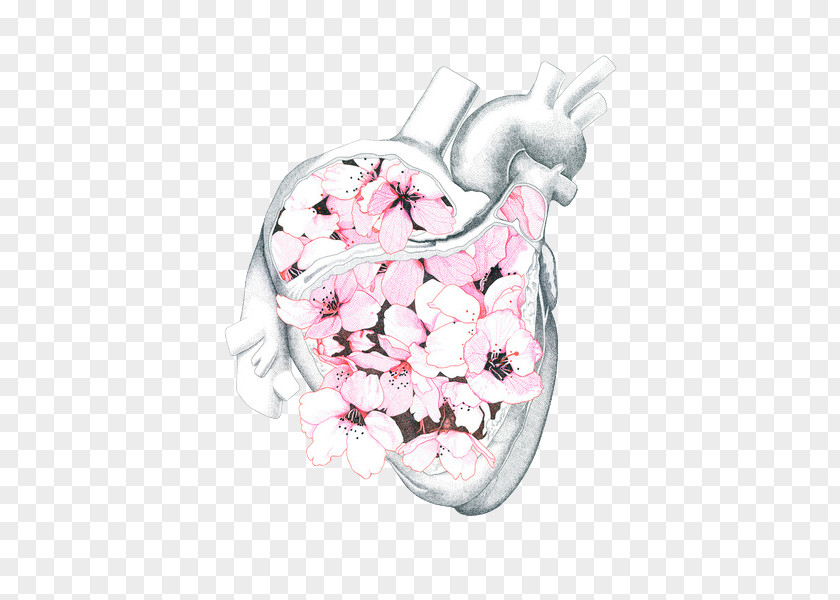 Pink Drawing Plant Heart Sketch PNG