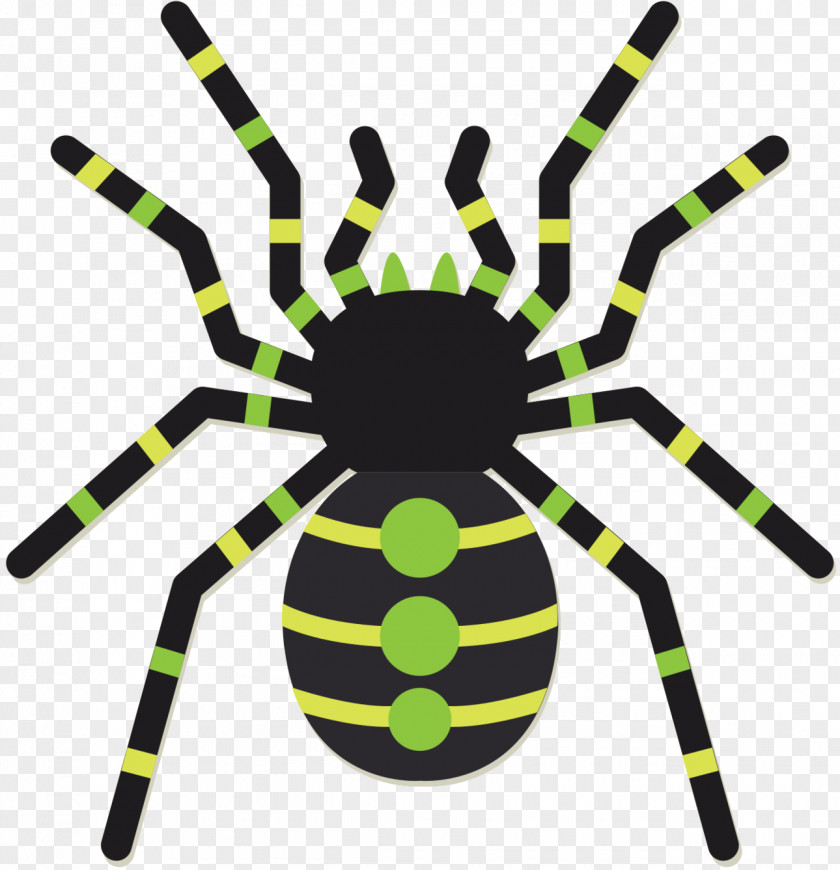 Spider Vector Graphics Insect Image PNG