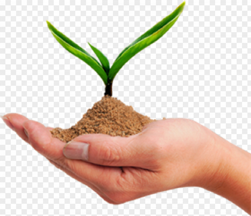 Youtube Soil YouTube Sand Sustainable Development PNG