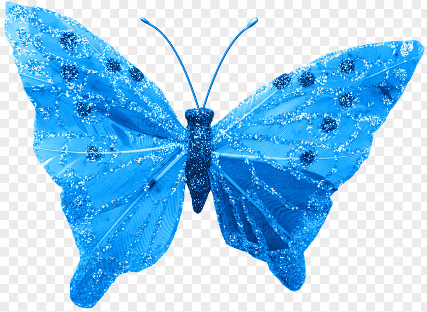 Butterflies Butterfly Insect Electric Blue Lycaenidae Moth PNG