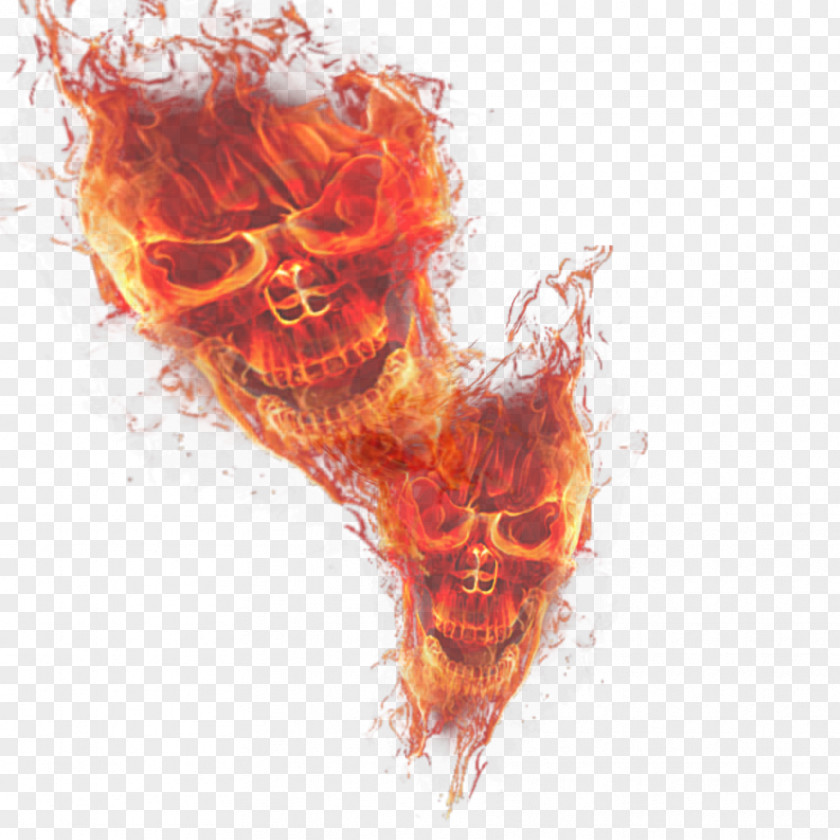 Fire Light Skull Flame PNG