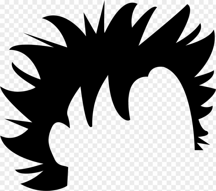 Hair PNG