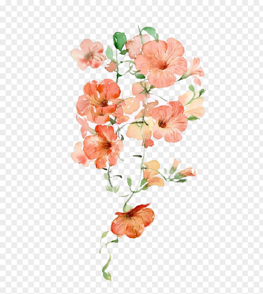 Watercolor Flowers Flower Pink Icon PNG