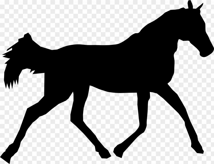 Animal Silhouettes Horse Pony Silhouette Clip Art PNG