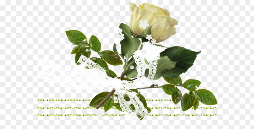 Garden Roses Cut Flowers Bouches-du-Rhône Branching PNG